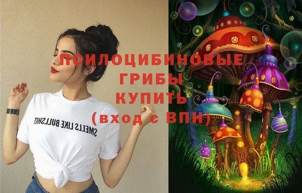 ПСИЛОЦИБИНОВЫЕ ГРИБЫ Приозерск