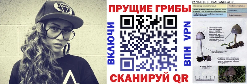 Галлюциногенные грибы Magic Shrooms  купить закладку  Ковдор 
